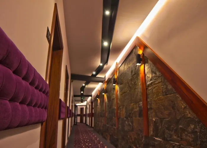 Modus מלון Laziska Gorne